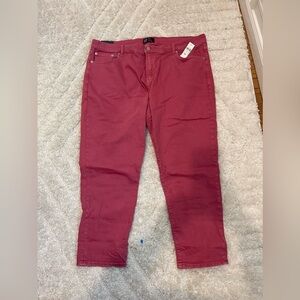 Nwt pink denim gap pants